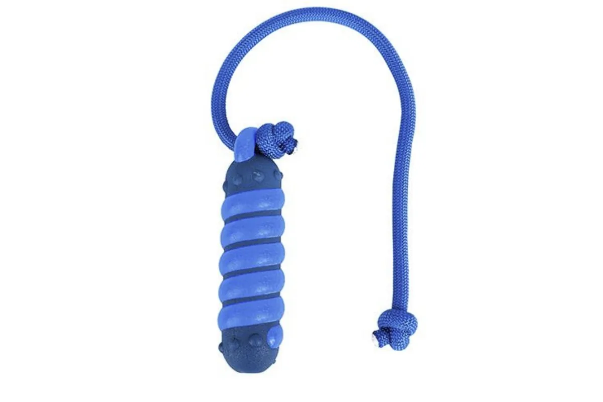 Bastoncino in corda di nylon, Classic Chew, corda blu e cilindro su fondo bianco